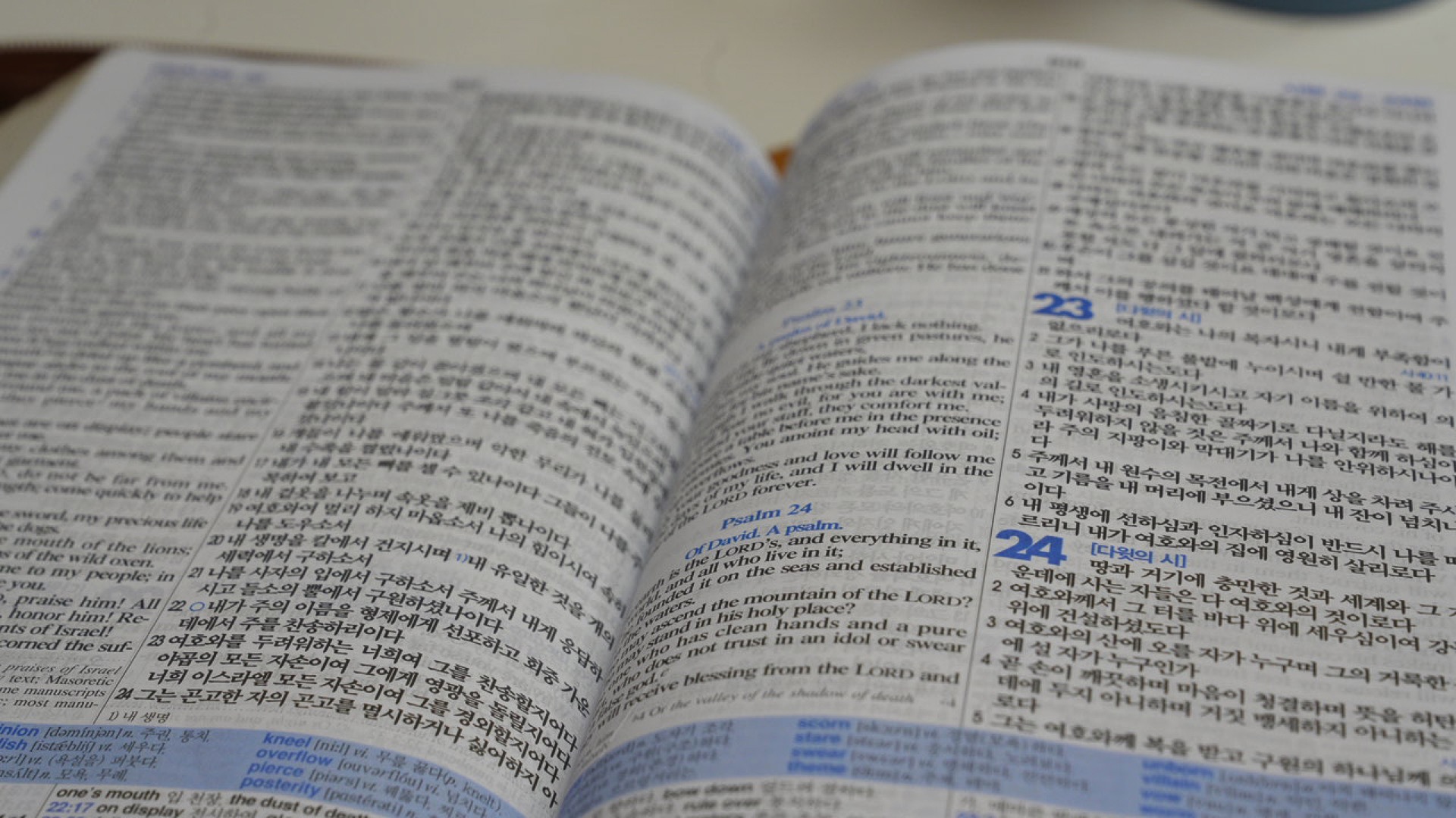 Open Bibles in a Bible Seminar small group